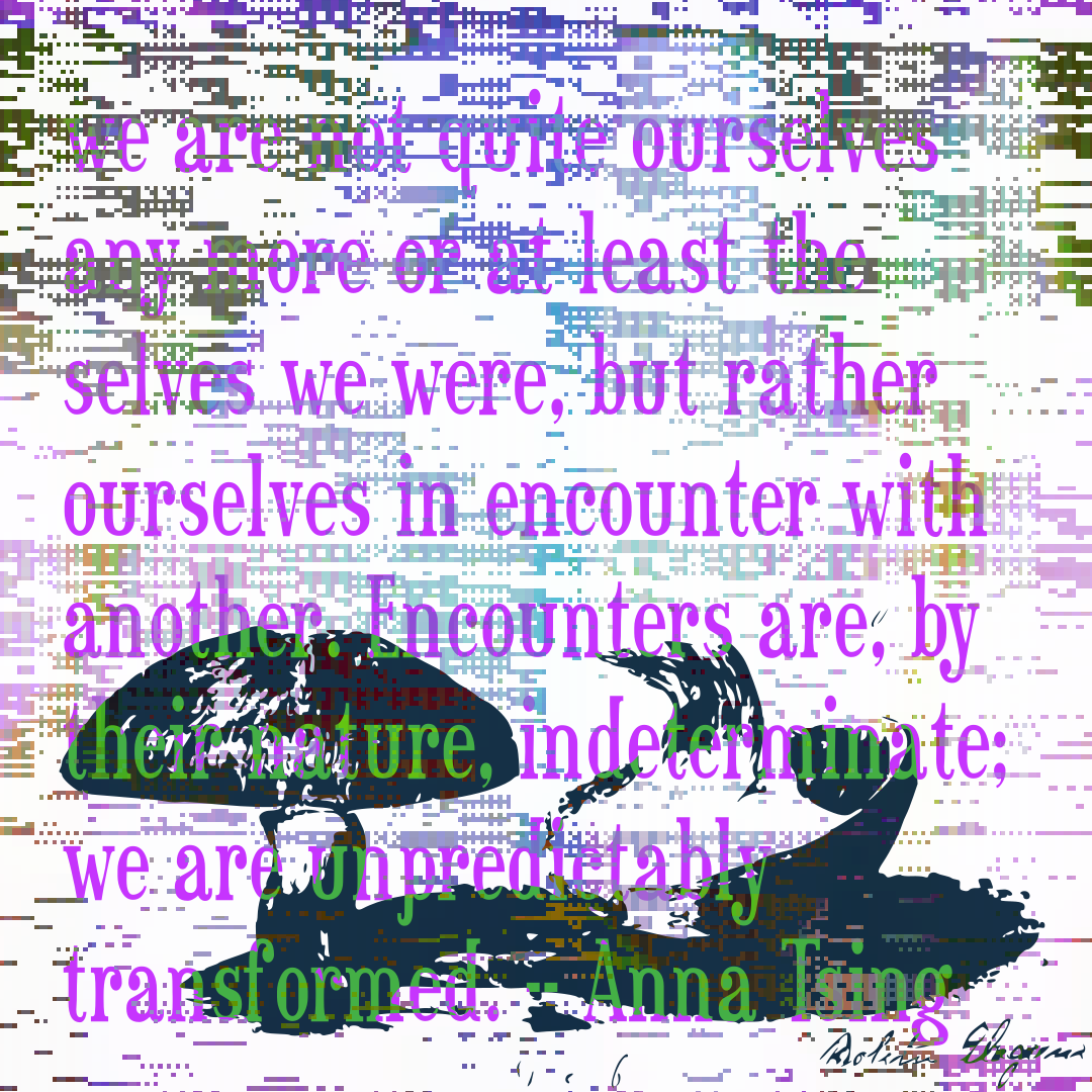 Two mushrooms lie at the bottom of this image, against a background of pastel pixel glitches. Text is overlaid in lilac, transforming into green when colliding with the mushrooms. "...we are not quite ourselves any more—or at least the selves we were, but rather ourselves in encounter with another. Encounters are, by their nature, indeterminate; we are unpredictably transformed."
