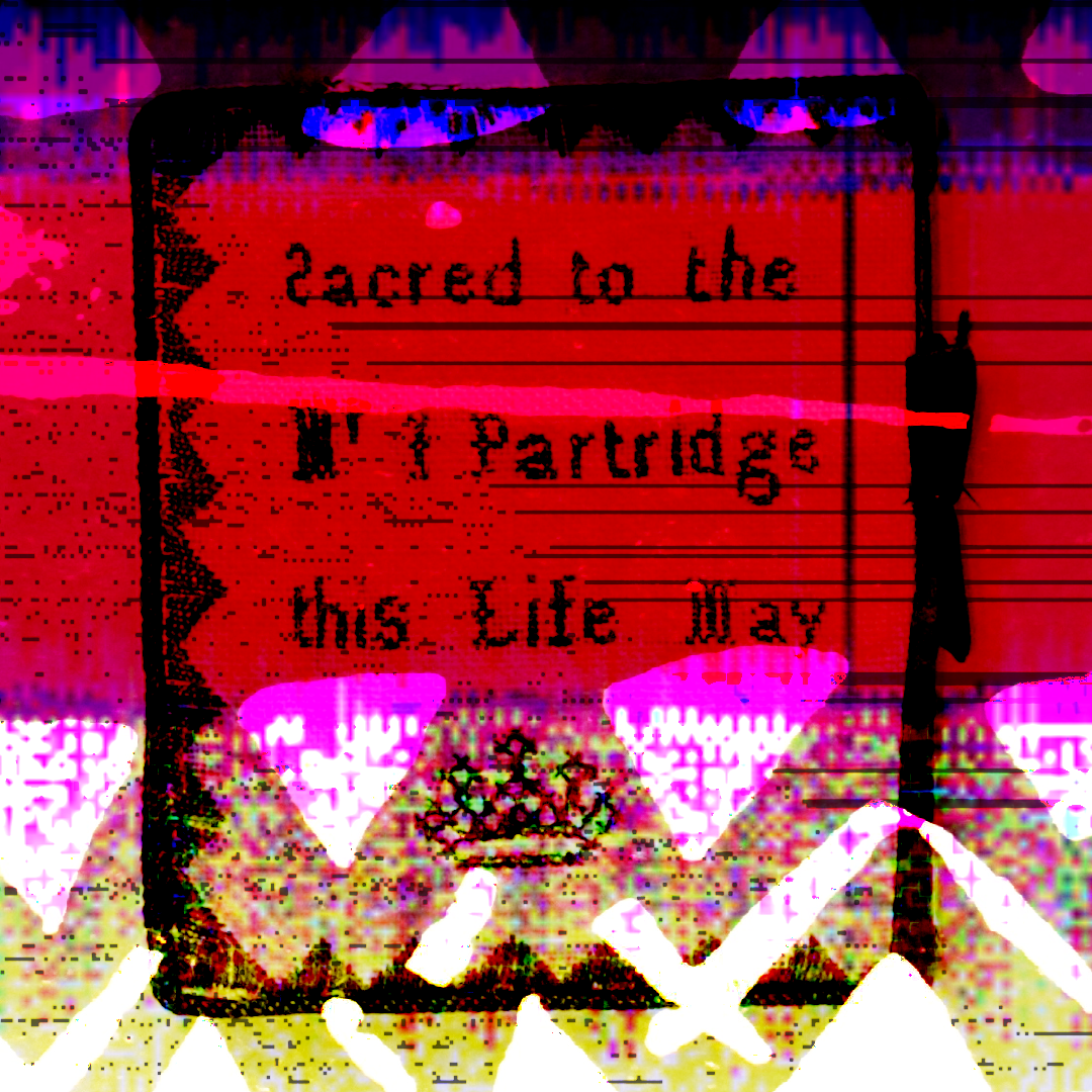 
Black embroidery from a needlecase against a red, black, and white glitch art background overlaid with noise and horizontal lines, and highlighted by rough triangle shapes across the top and bottom. The embroidery is half of a message, the other half present on the other side of the needlecase. This half reads 'Sacred to the [Indistinct] Partridge this Life May', followed by a symbol of a crown, framed in a zigzag pattern.