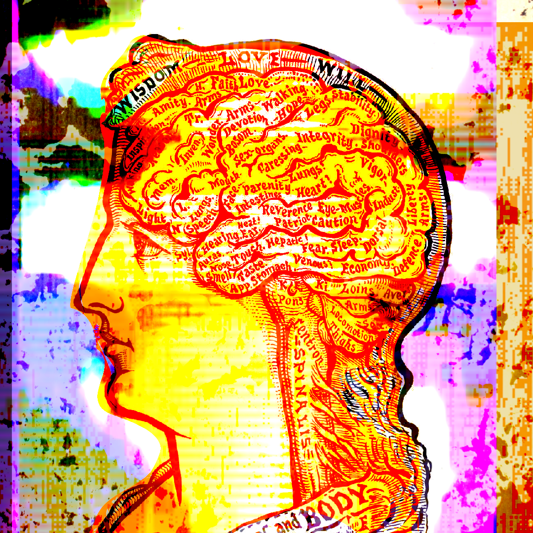 19th Century illustration of the brain covered in words denoting functions of the body and mind such as 'Arms, Devotion, Bosom, Walking, Hope, Legs, Stability' etc. colour-washed in red, orange, and yellow against a background of marks and glitches in pink, purple, and blue.